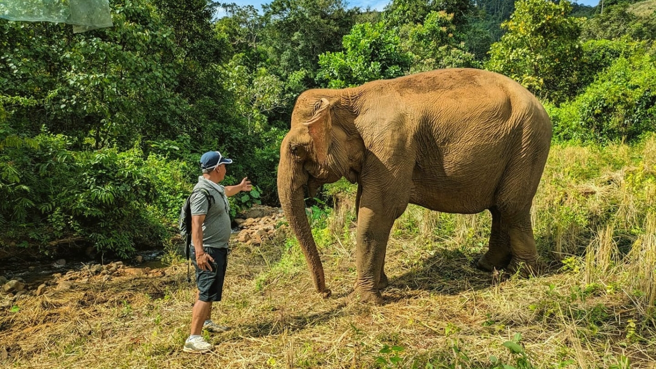 The Elephant Sanctuary at Ratanakiri Province