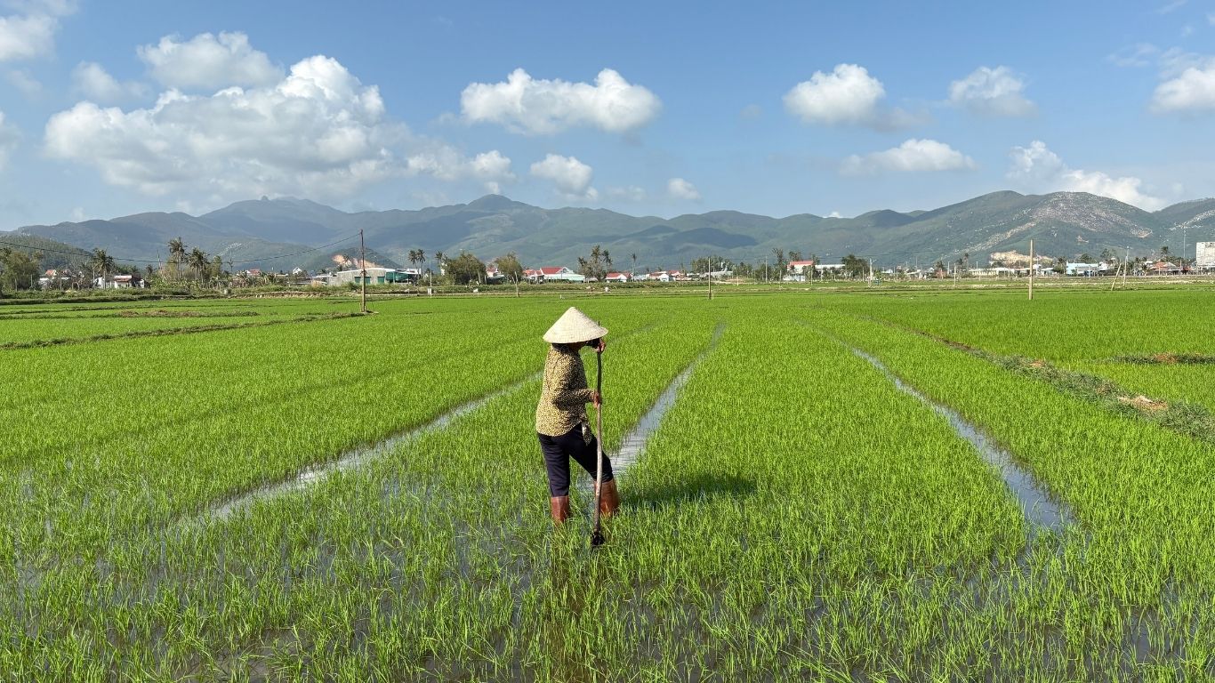 Cycling Vietnam: Hoian to Hanoi 8 days Photo 4