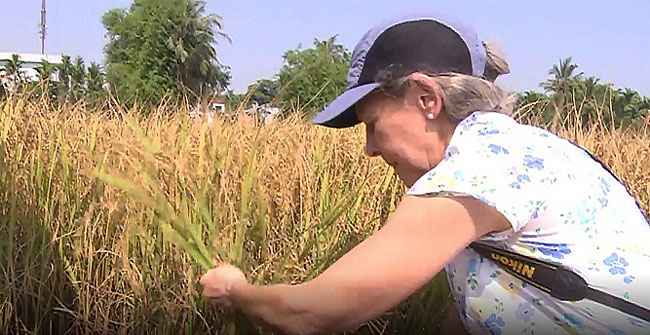 Best Hoi An Post Tour With Local People