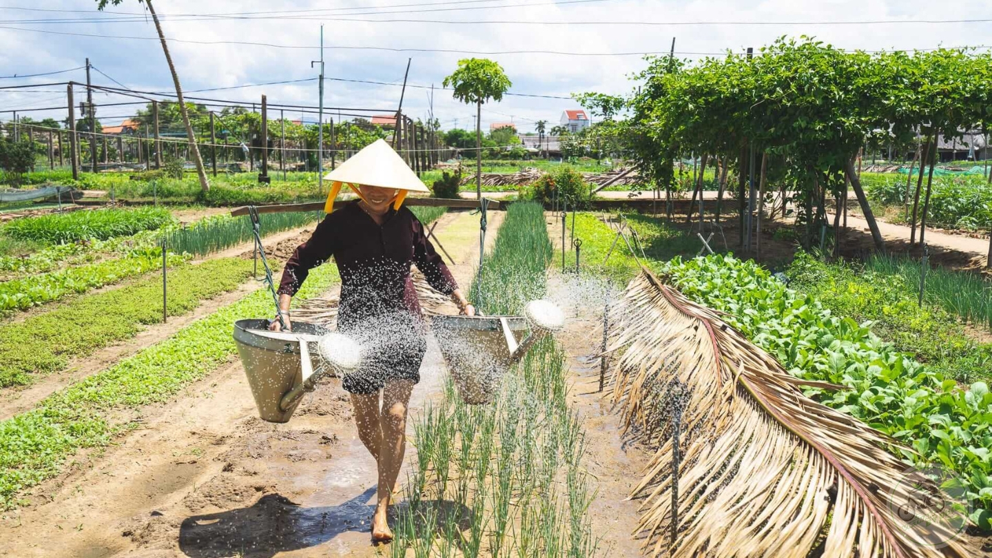 Tra Que Vegetable Village Farming