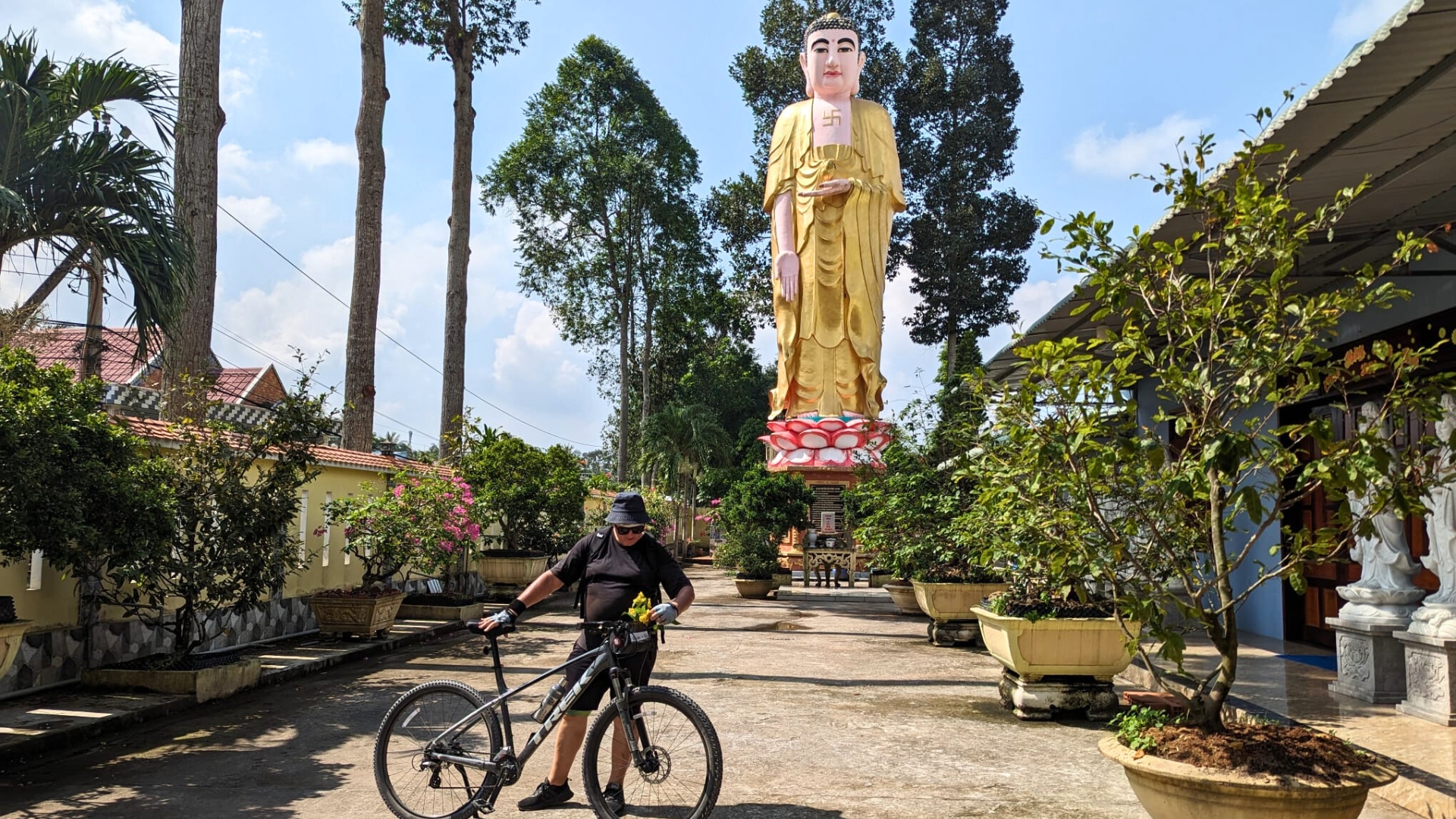 What is the travel trend in Vietnam ?