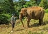 The Elephant Sanctuary at Ratanakiri Province
