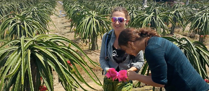 mekong delta motorbike tour 3 days 02 - Mekong Delta Motorbike Tour 3 days