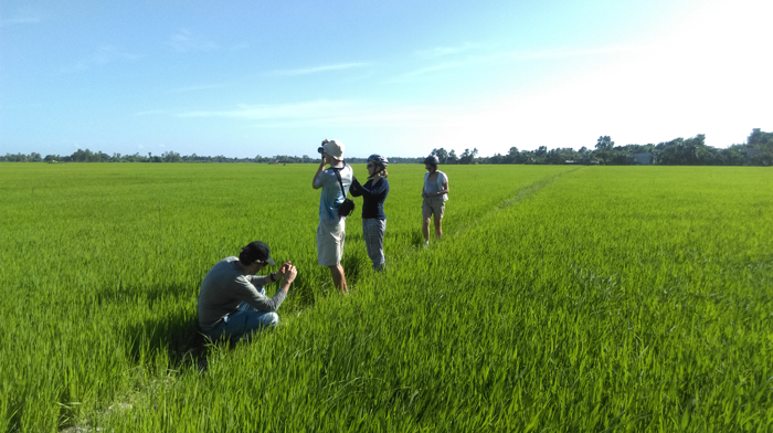 mekong delta tour 3 days 7 - Mekong Delta Motorbike Tour 3 days